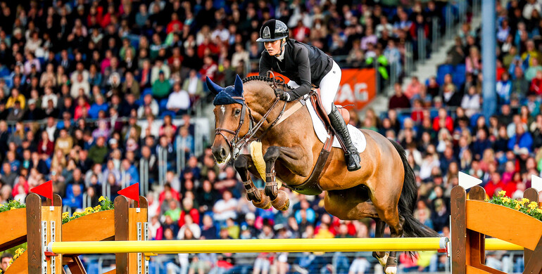 Artemis Farms acquires Corrie 9 and Starman for Rodrigo Pessoa