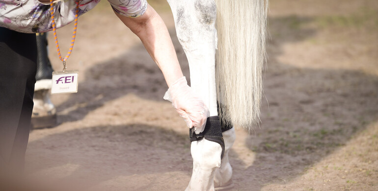 FEI’s 2024 Rules Revision Process: First draft of proposed rule changes published