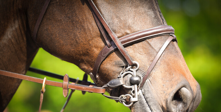 FEI’s 2024 Rules Revision process: FEI rejects all but one stakeholder proposals to the Jumping Rules
