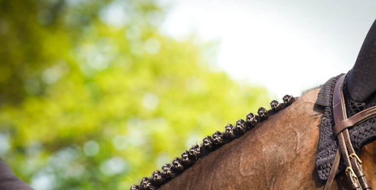 This weekend's three and two-star Grand Prix winners