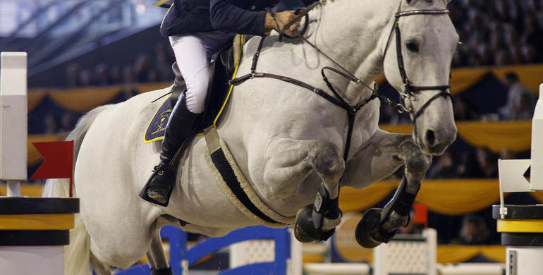 Sultan returns to Bruce Menzies to retire