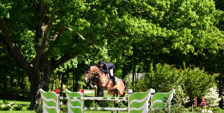 Ward blazes to victory in $200,000 Empire State Grand Prix presented by Old Salem Farm