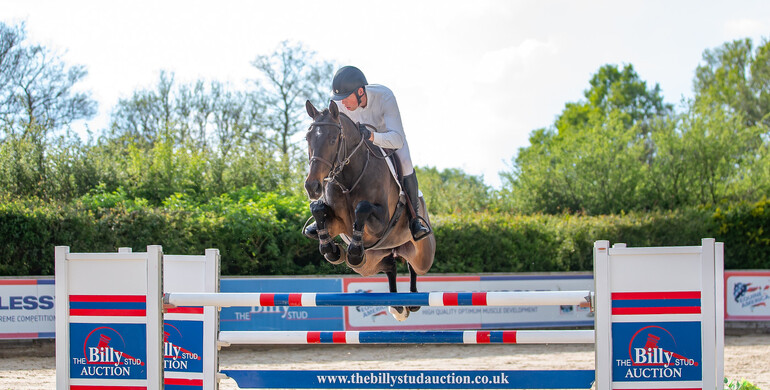 The Billy Stud Spring Auction – Online or in the room, here’s everything you need to know!