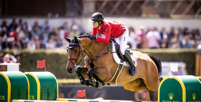 Tabasco de Toxandria Z back at Coolmore Showjumping