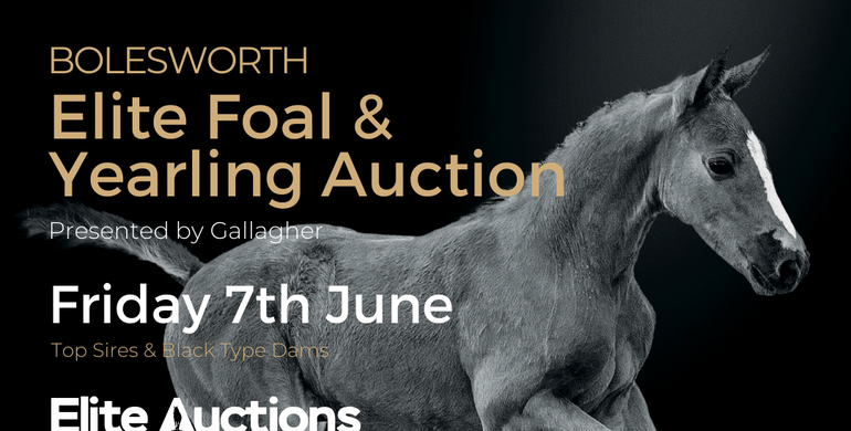 Bolesworth Elite Foal & Yearling Auction presented by Gallagher Friday 7th June, 8.30pm GMT
