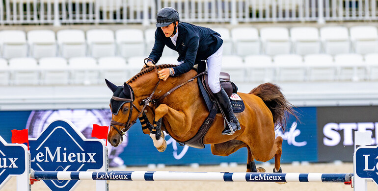 Cydello tops the second WBFSH Breeder Ranking for jumping horses of 2024