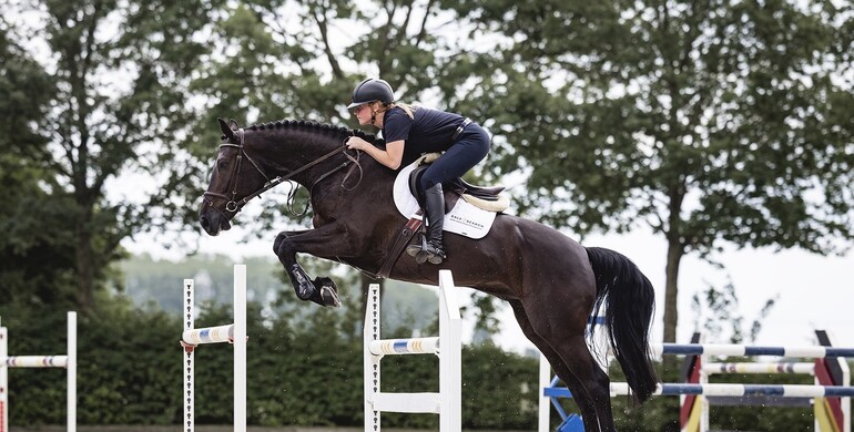 Discover Sale & Search Horses: The new platform for quality amateur show jumping horses