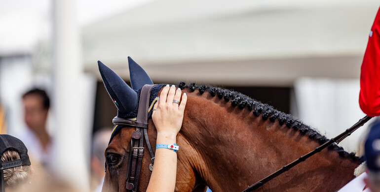 Susanna L. Ole and Inga A. Wolframm continue industry research: “Addressing grooms’ concerns is not merely a workforce issue but a matter of industry credibility”