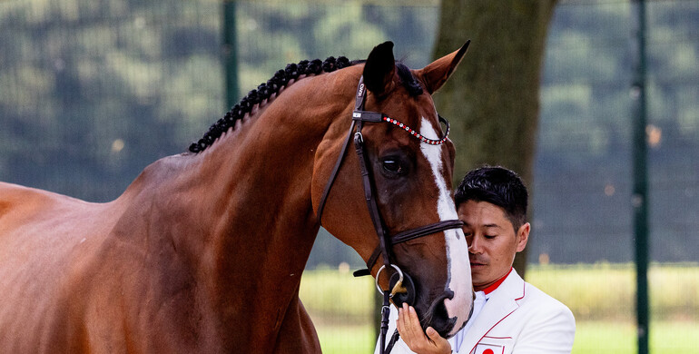 Trotting-up at Château de Versailles, photos from the jumpers' first horse inspection at the 2024 Olympics