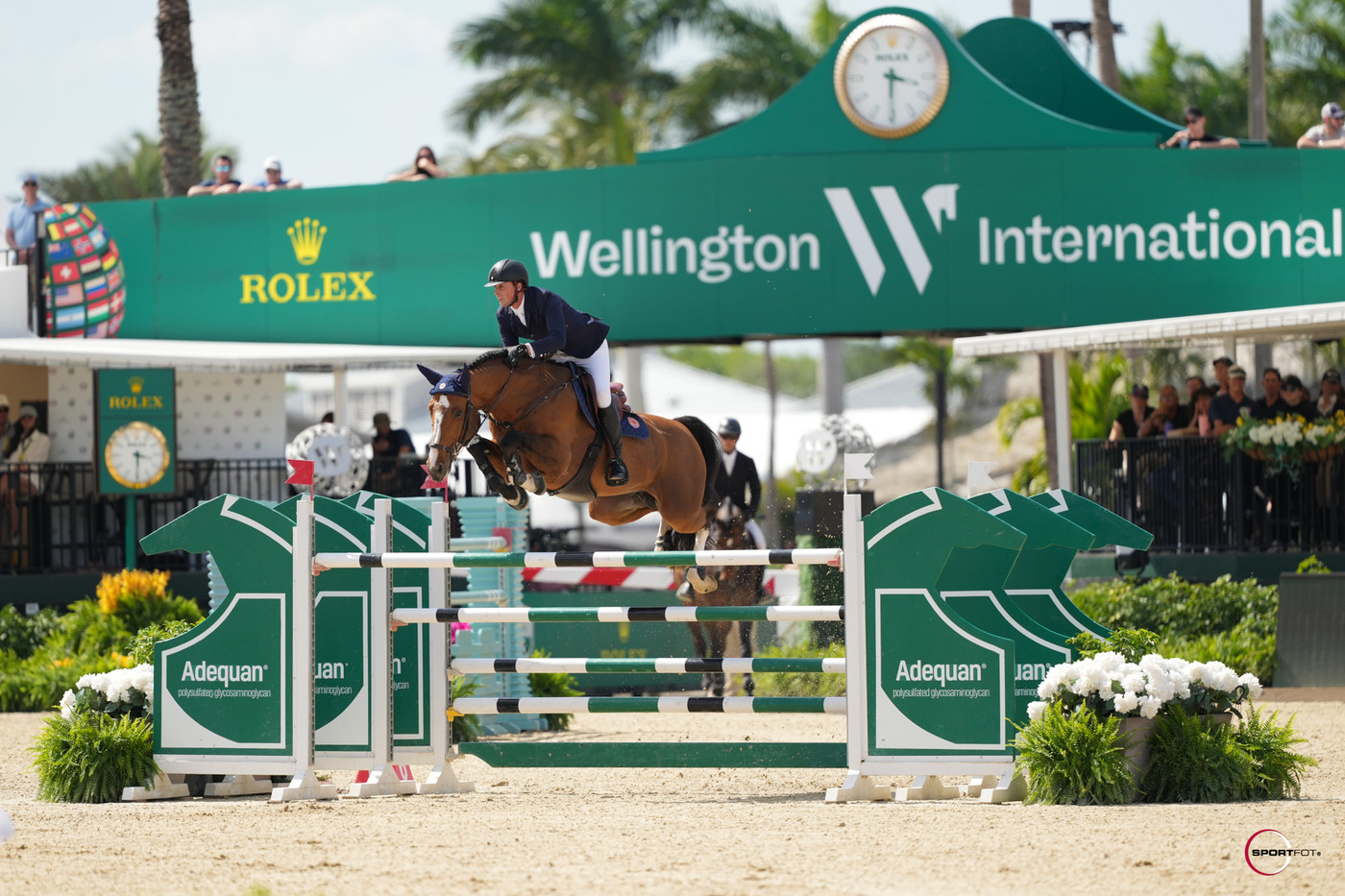 It's all about timing for Ben Maher and Point Break in Adequan