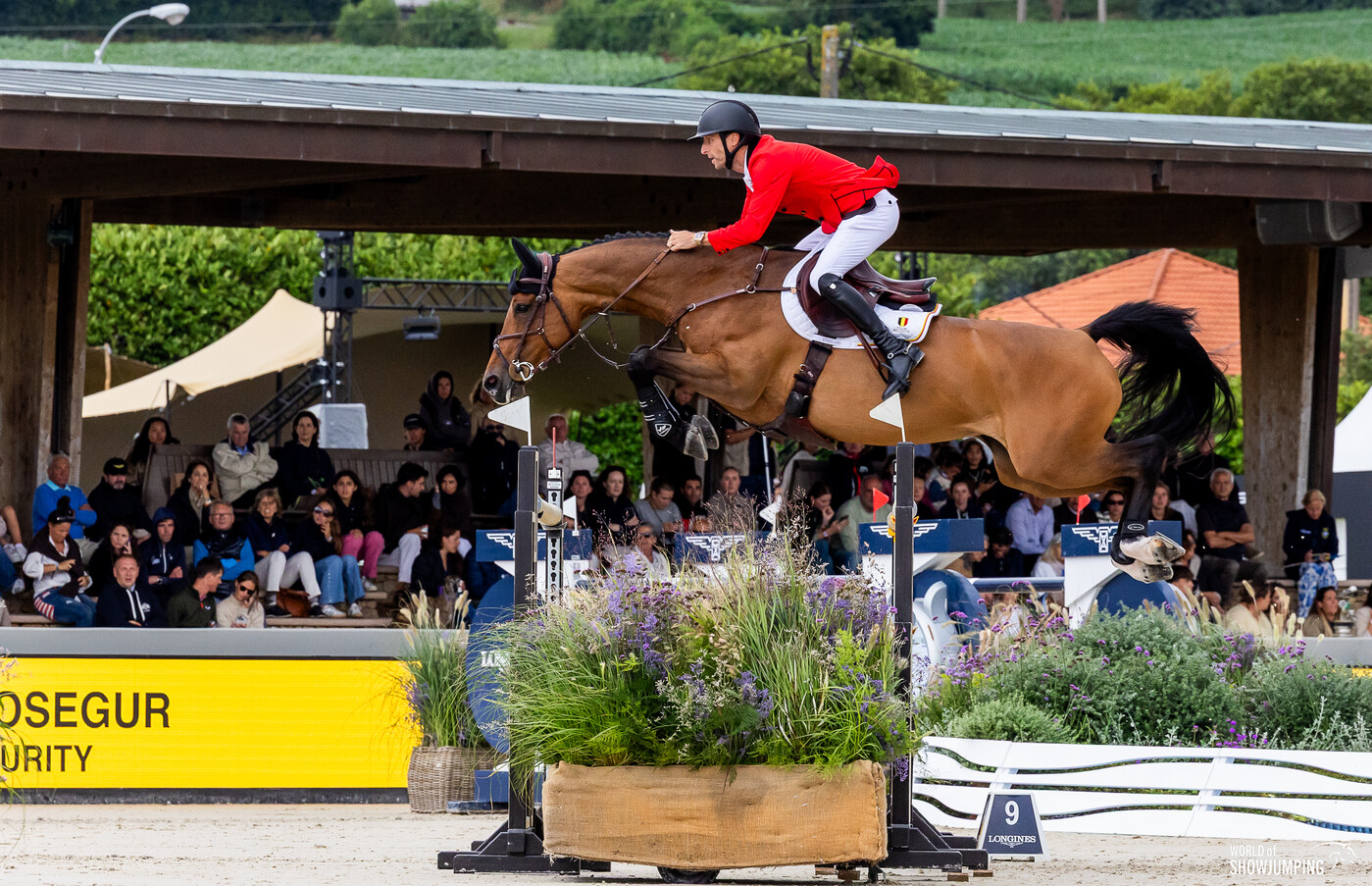 Gold is looking good on you Belgium! | World of Showjumping