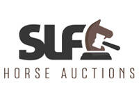 Logo SLF Summer Auctions