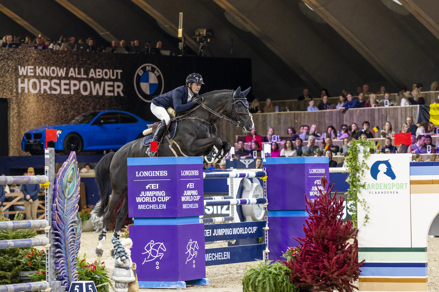 The debutante of the year – Qalista DN and Gilles Thomas triumph