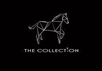 Logo The Collection Auction - at Peelbergen Equestrian Center