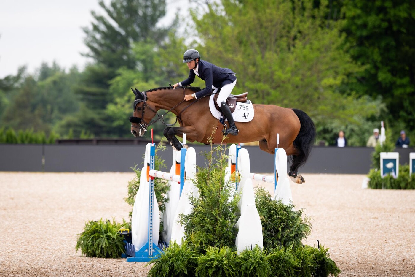 フォト Goyoaga Mollet and Deacon win $31,100 Avid CSI3* Speed | World of