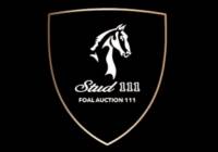 Logo Foal Auction 111 at Azelhof