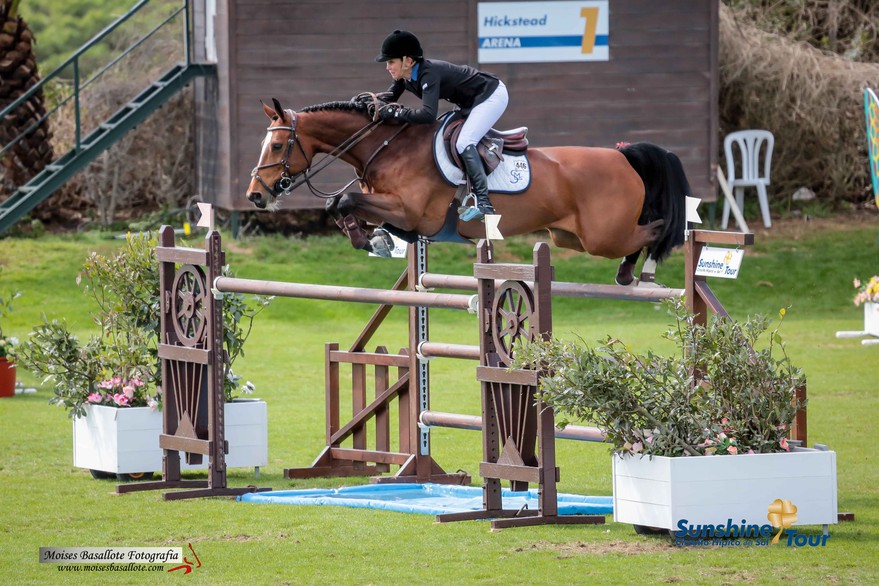 sunshine tour show jumping