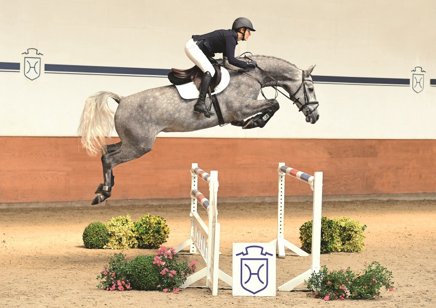 Elite Show Jumping 
