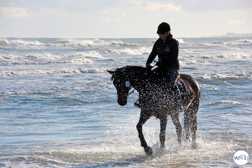 mediterranean tour showjumping