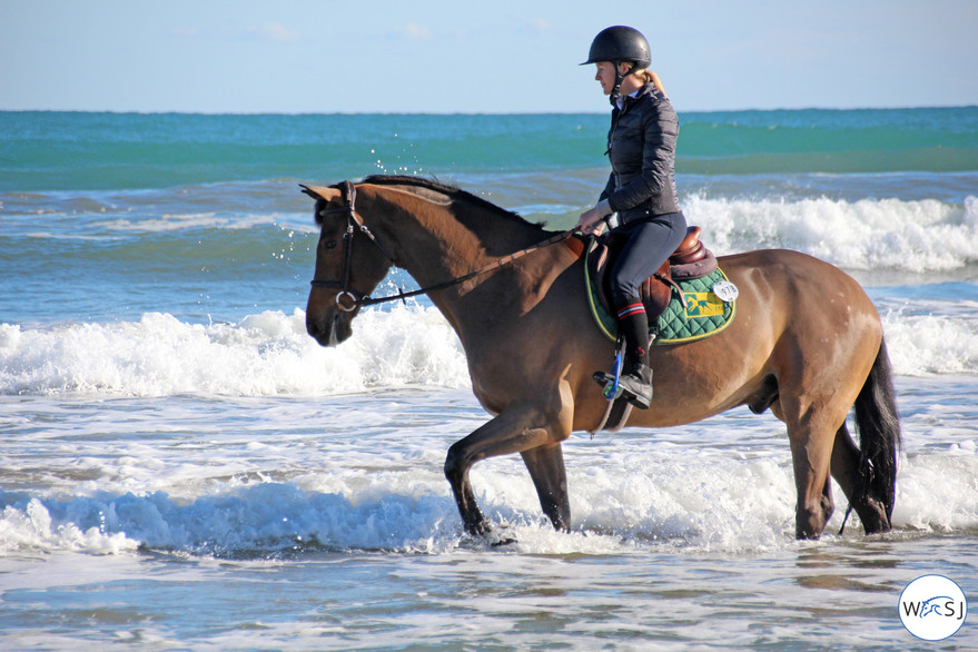 mediterranean tour showjumping