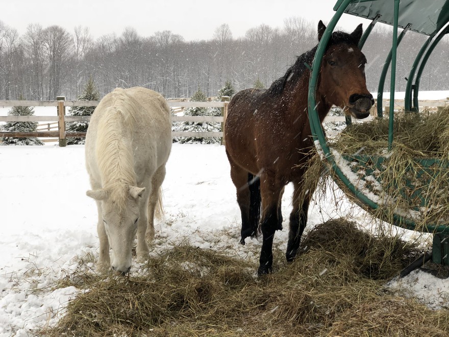 Beezie and John Madden’s retirement facility: “Together with other ...