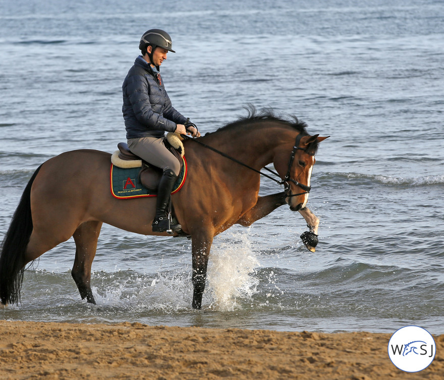 mediterranean tour showjumping