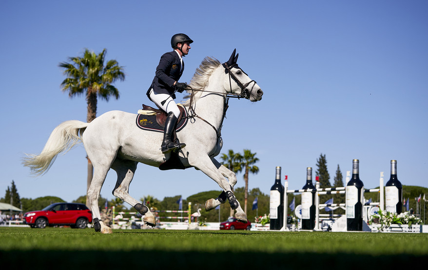 sunshine tour show jumping