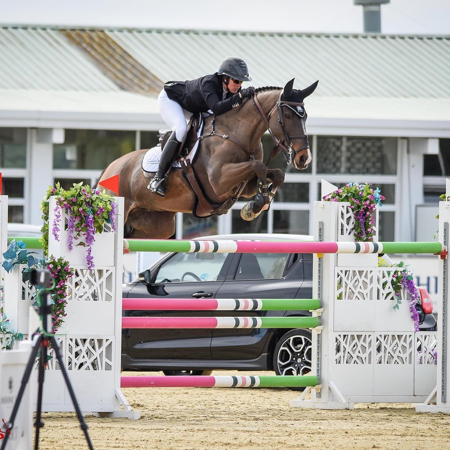 sunshine tour 2024 showjumping