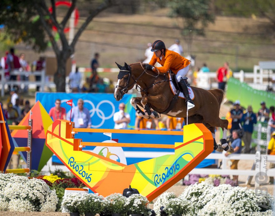 HORSE JUMPING SHOW: Cavalos de Salto em COQUINHOS