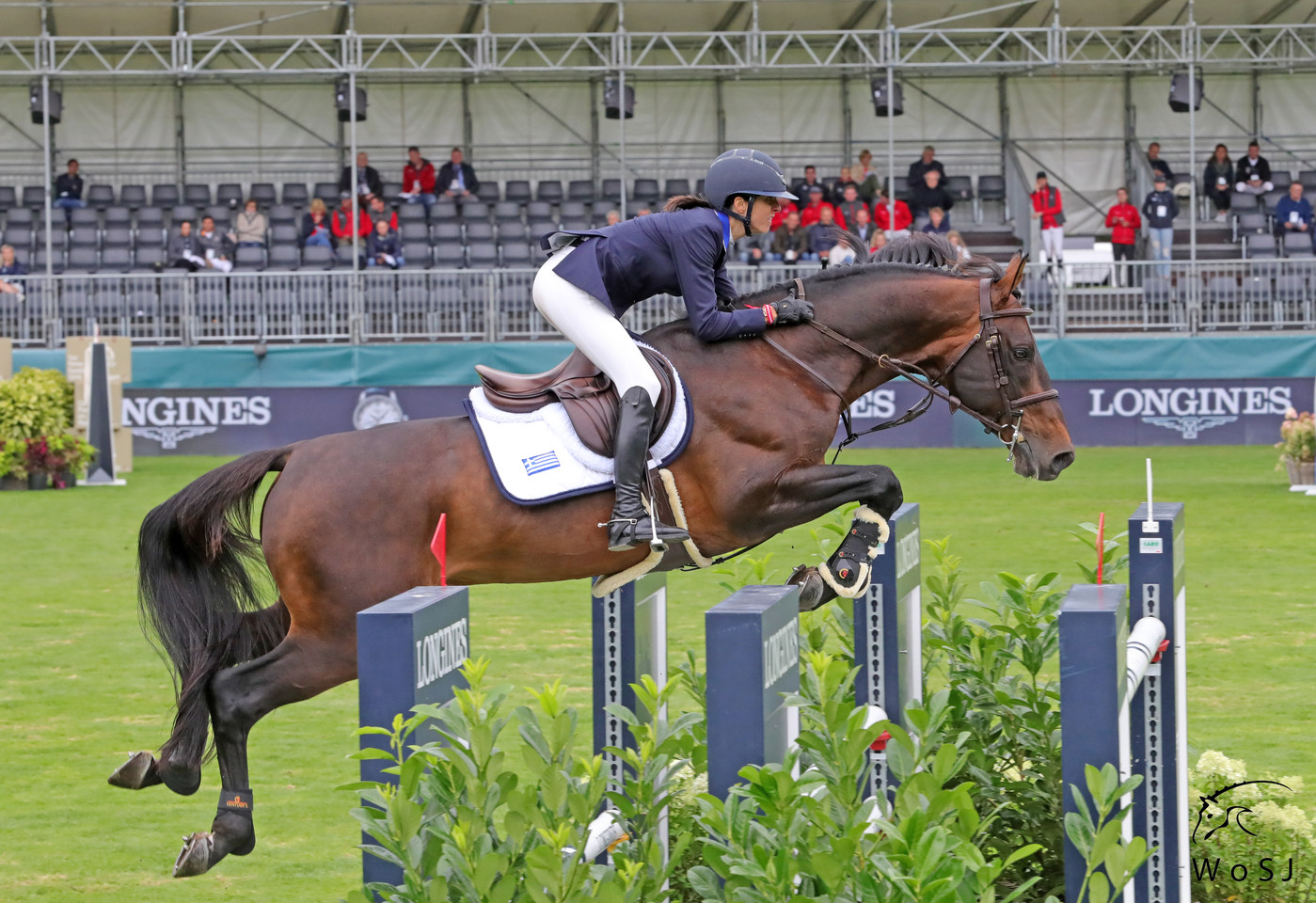 From youngster to Grand Prix horse: Levis Muze World of Showjumping