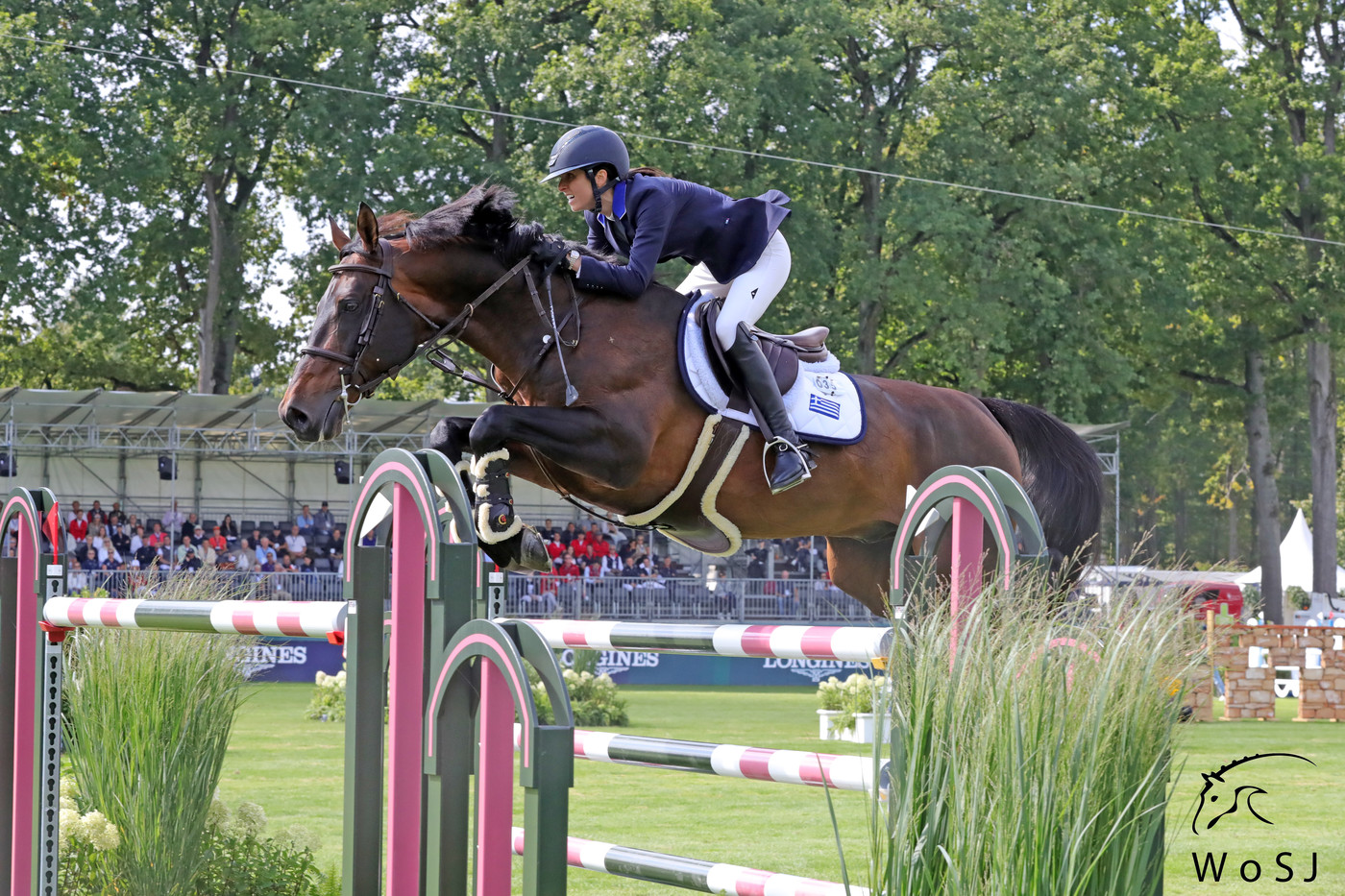 From youngster to Grand Prix horse: Levis Muze World of Showjumping