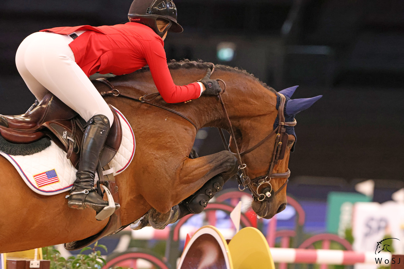 Showjumping