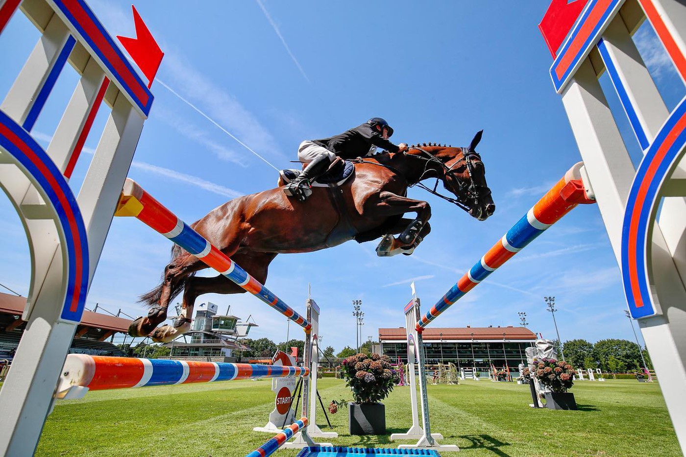 This week's CSI3* and 2* Grand Prix winners | World of Showjumping