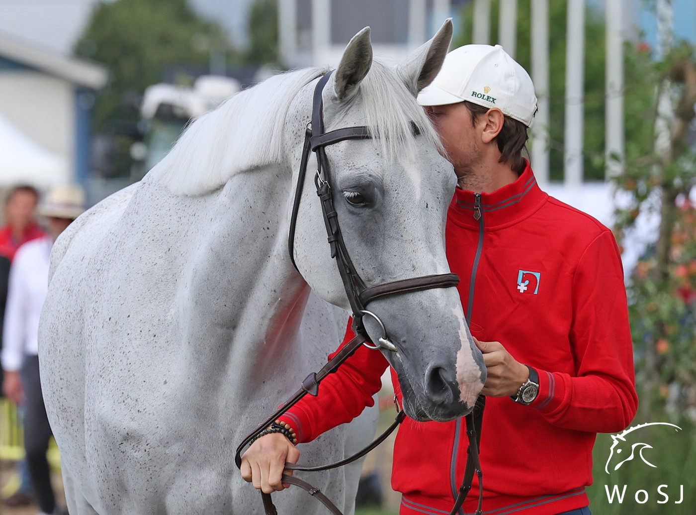 Trot and thrills at the first horse inspection in Herning
