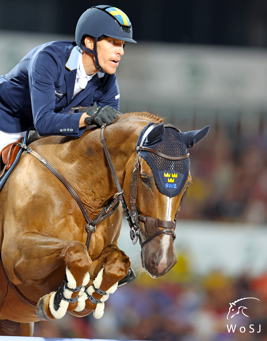 illoyalitet rabat Kemiker Sweden reigns supreme at the Agria FEI Jumping World Championship 2022 |  World of Showjumping