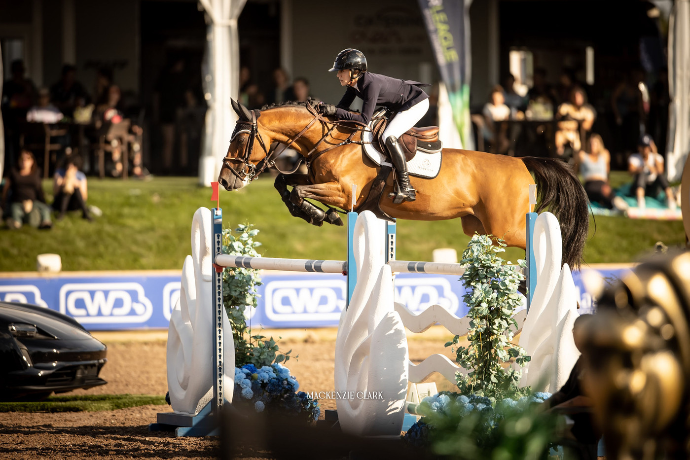 Daniel Bluman tops CSI5* 1.55m Cabana Coast at Angelstone | World