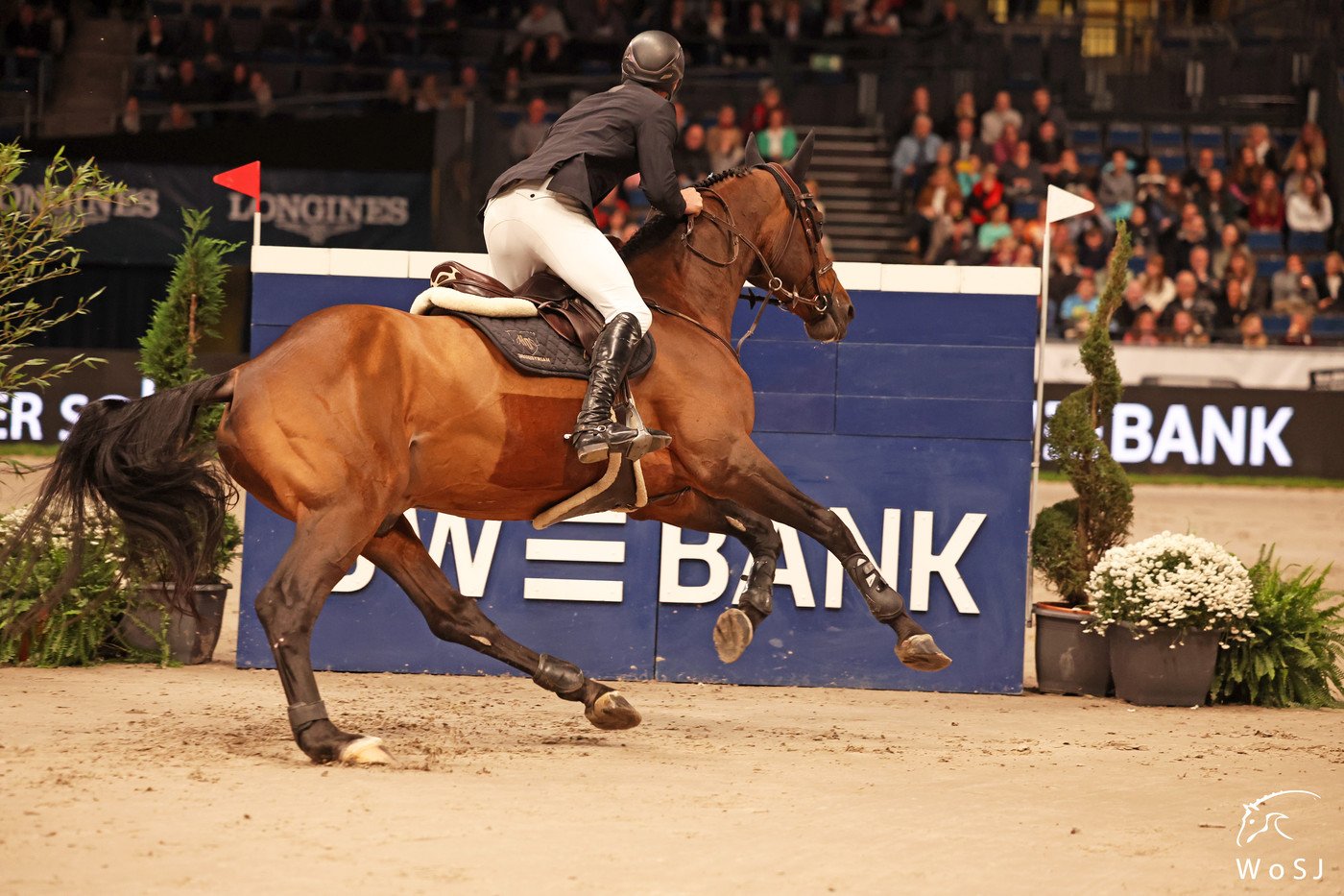 In images: Winning World Cup debut for Richard Vogel and In images: Winning World Cup debut for Richard Vogel and