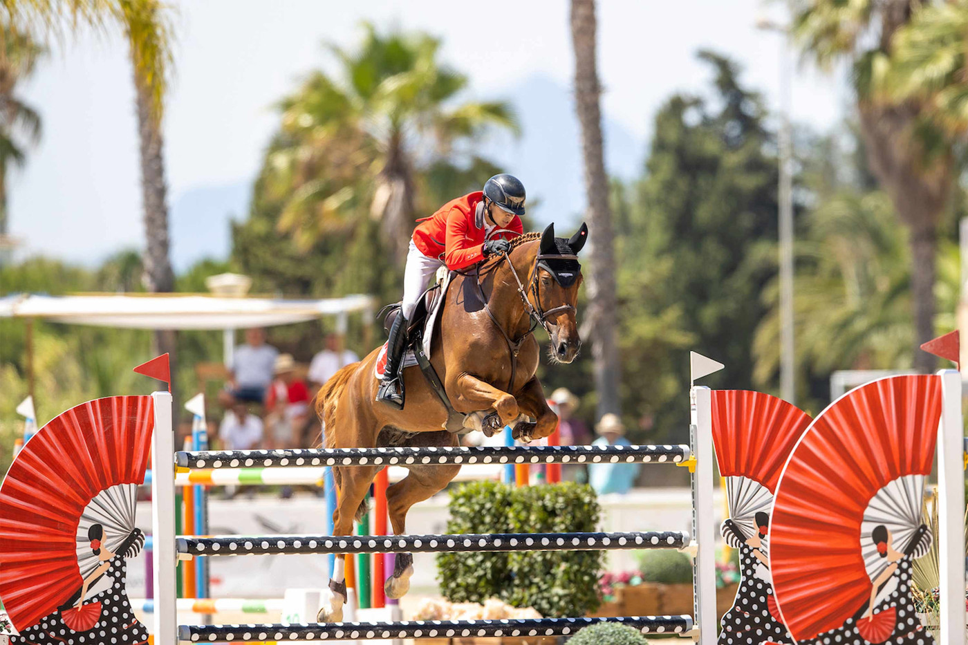 world of showjumping live streaming