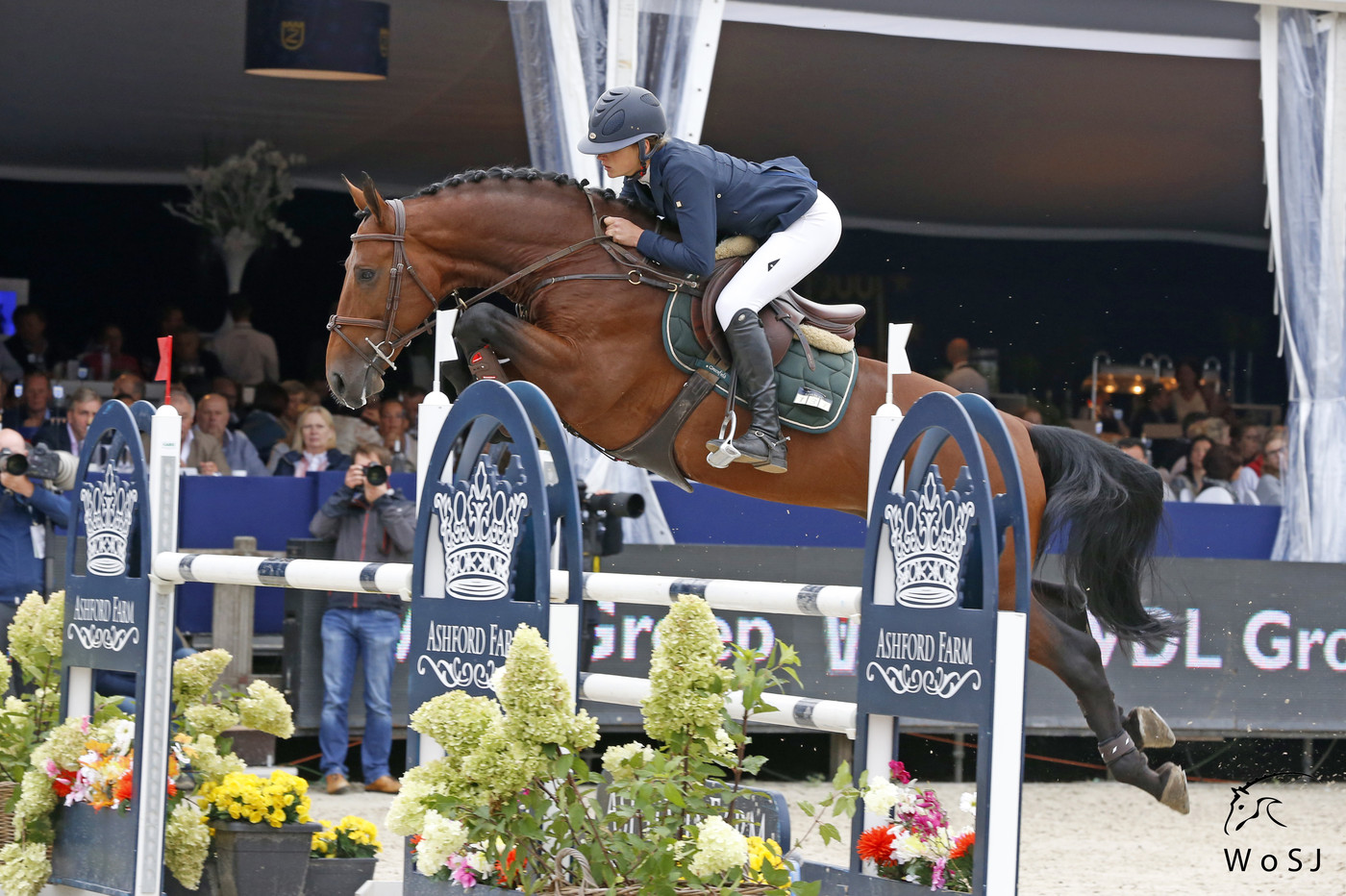 Agana van het Gerendal Z: A rare family-jewel | World of Showjumping