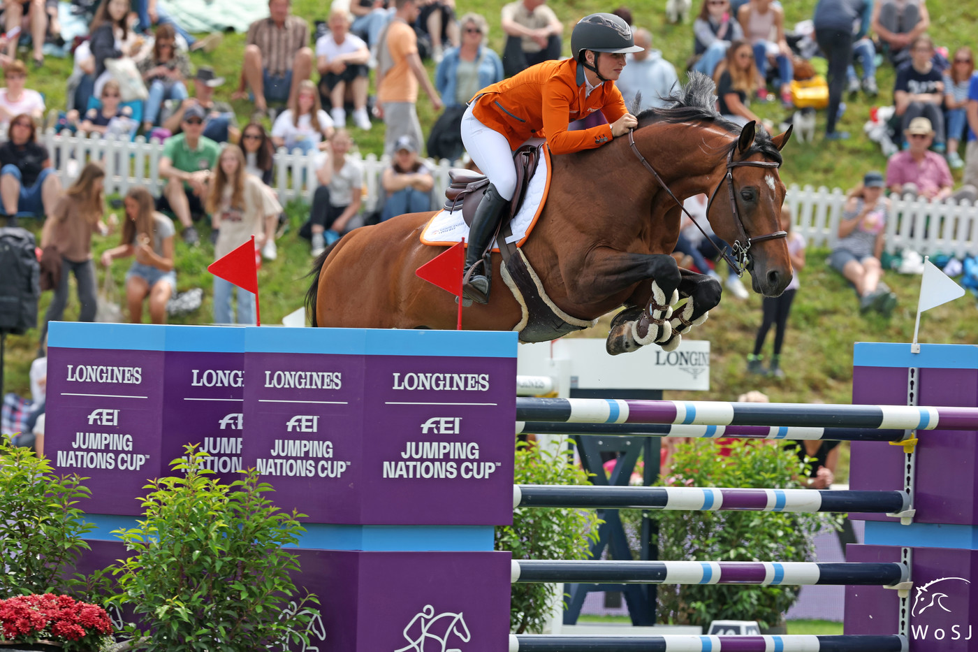 Con Quidam RB – “He is like a human and has his own personality