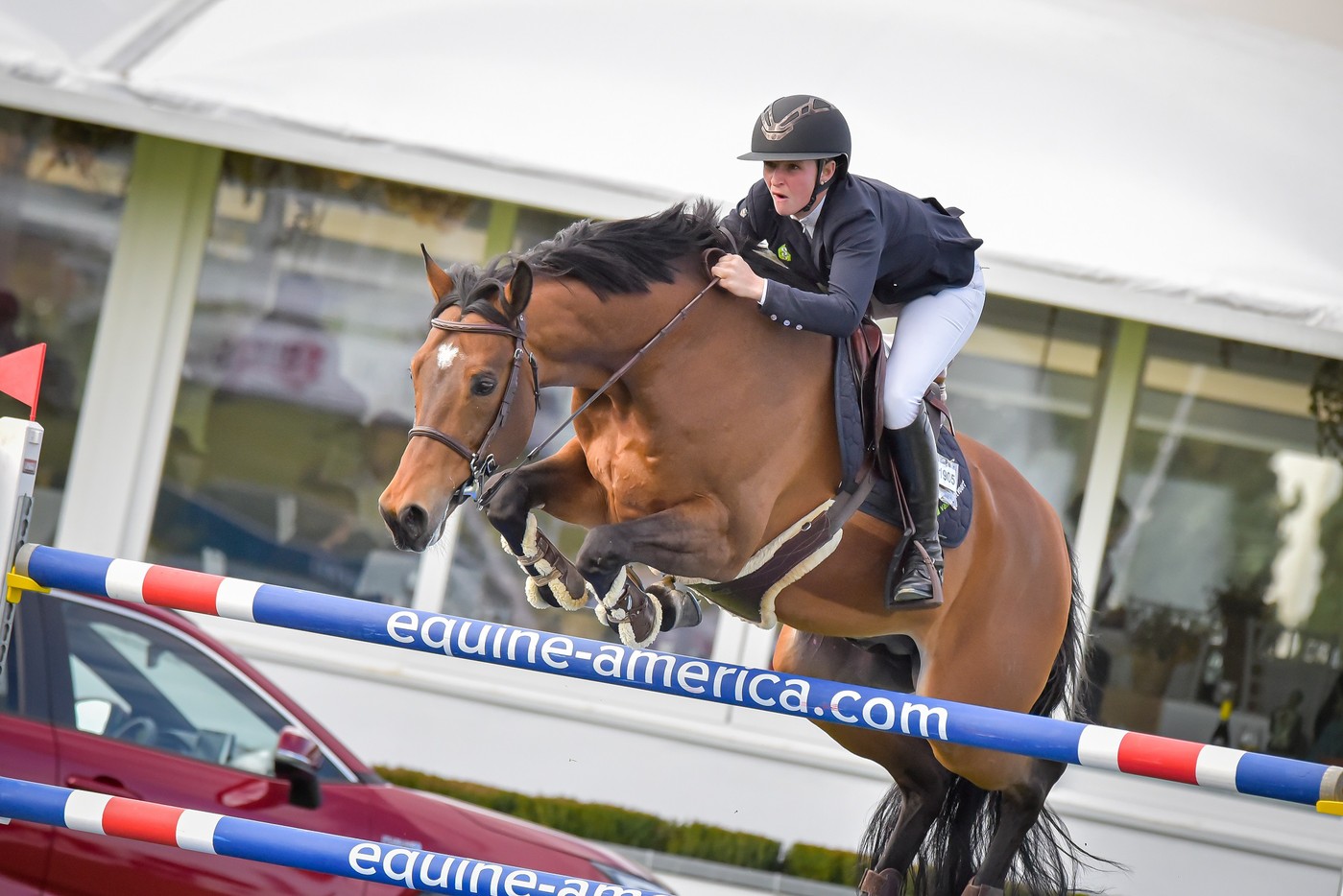 sunshine tour 2024 showjumping