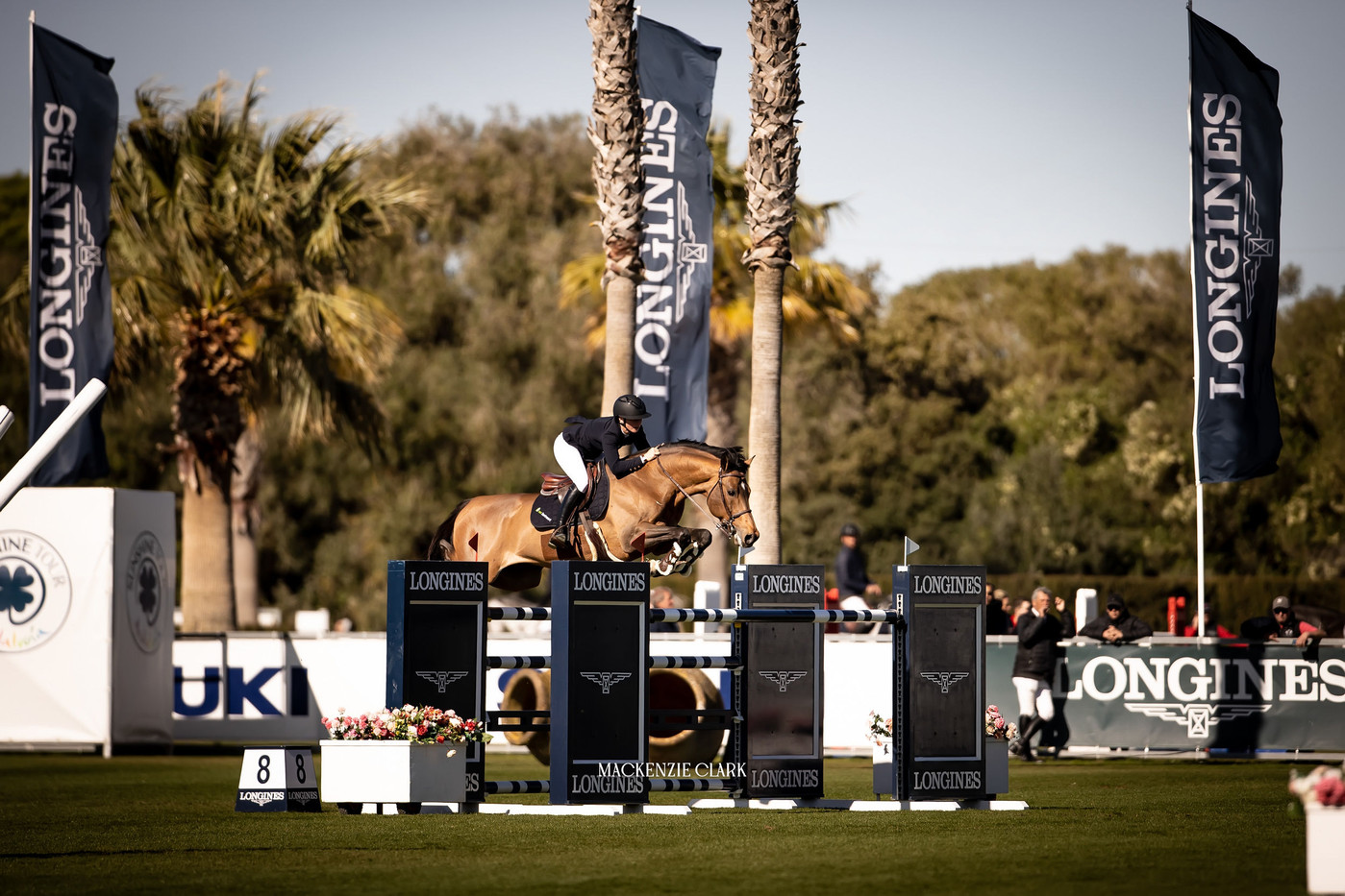 sunshine tour 2024 showjumping