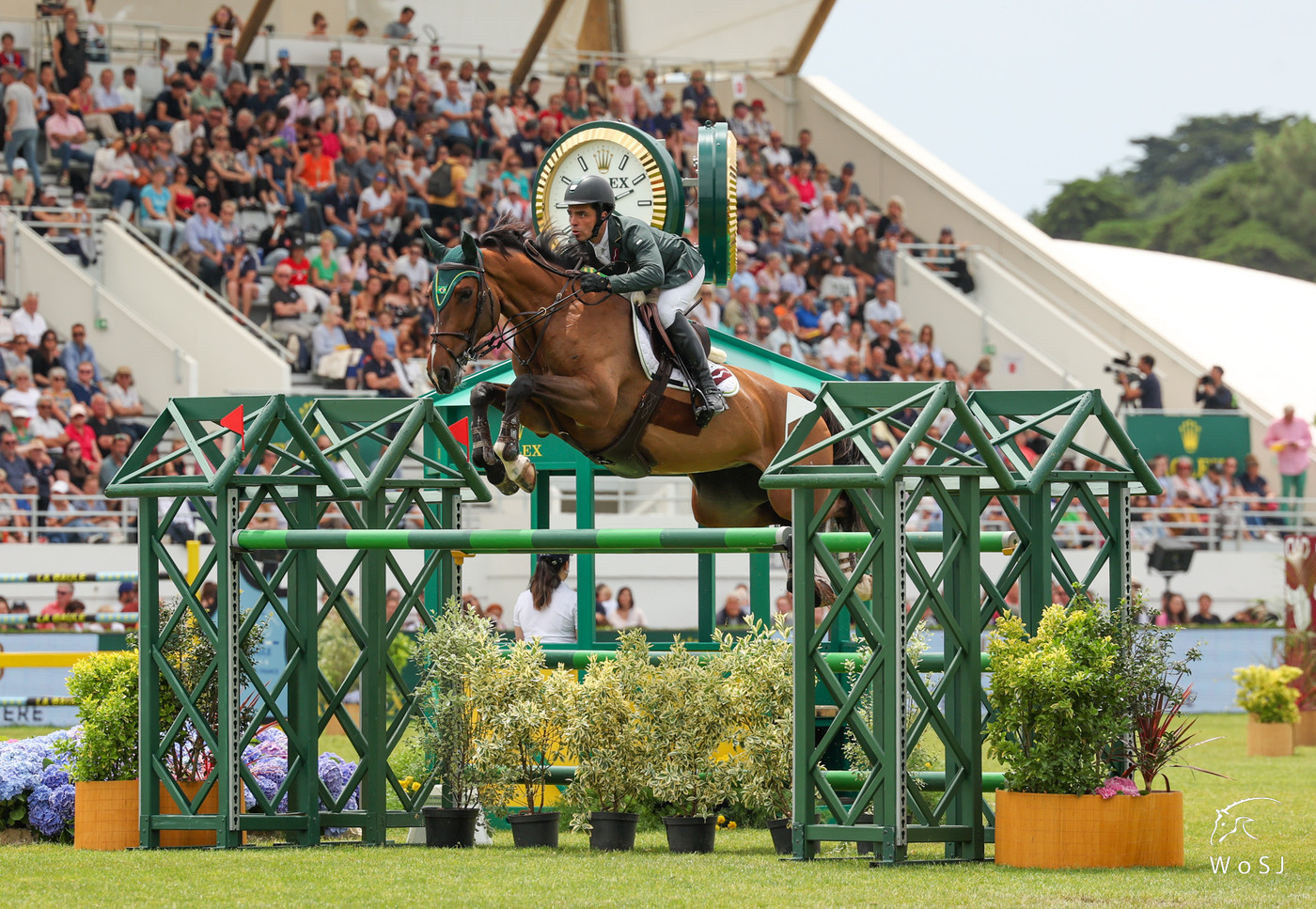 Show jumping with horses - Challenging and fun!