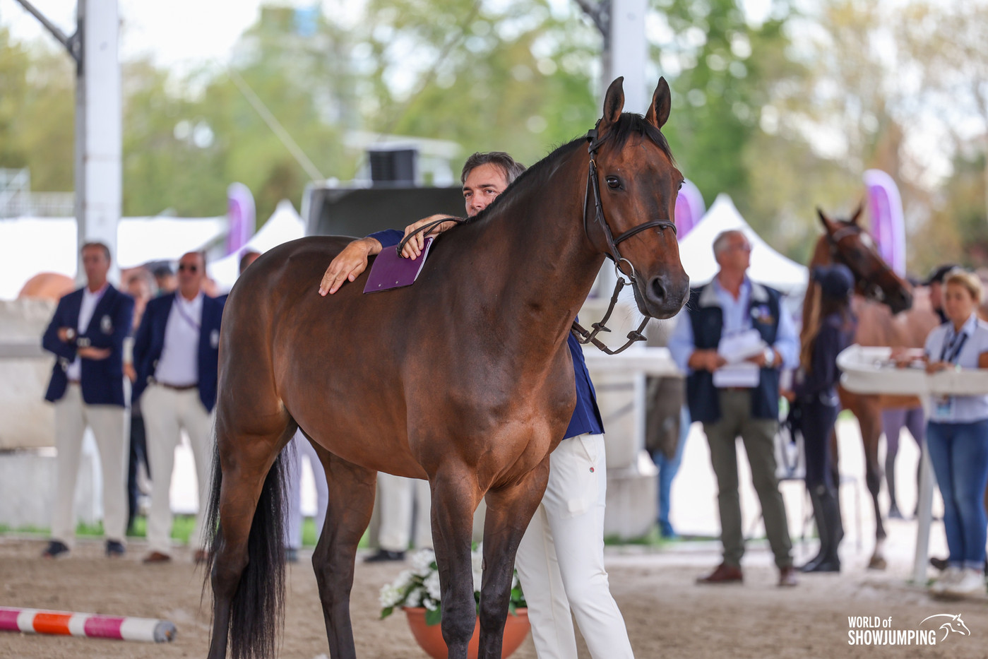 Cuddles and snuggles at the FEI Jumping European Championship 2023 World of Showjumping