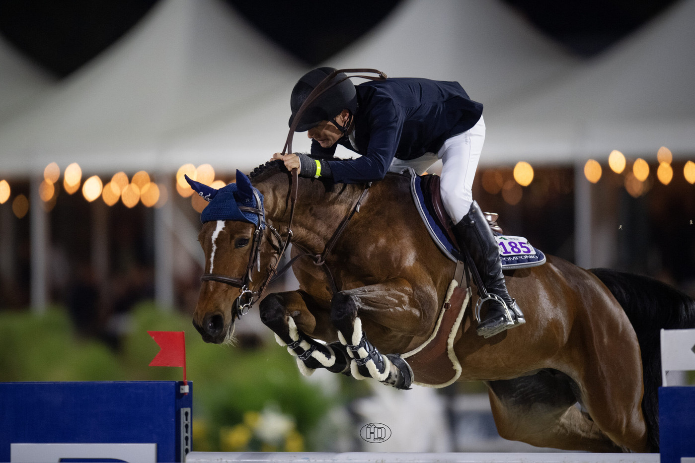 でい Karl Cook becomes master chef in inaugural $1 million CSI5