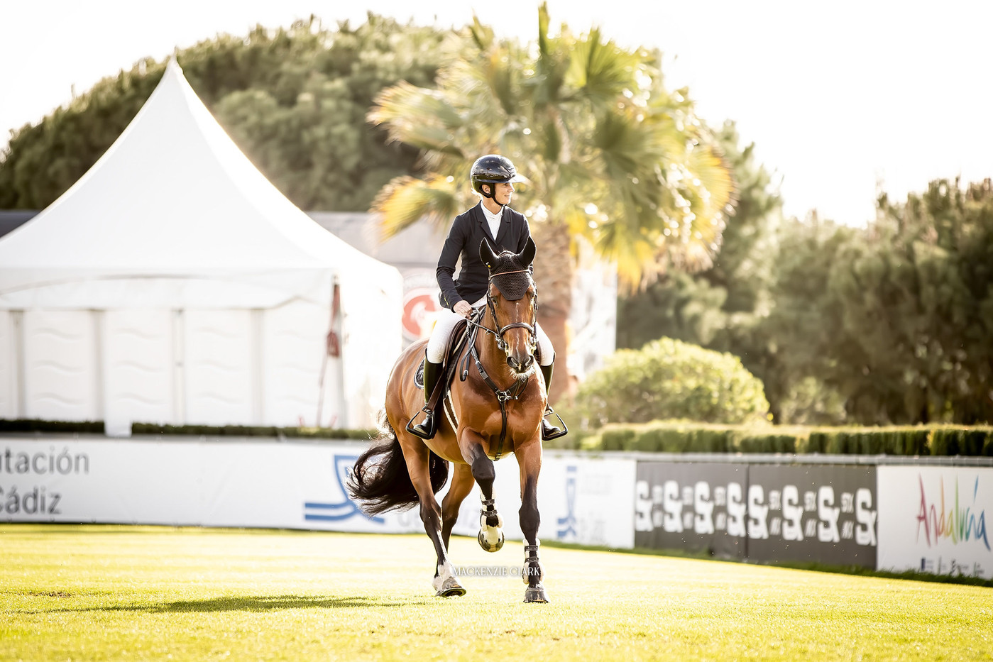 sunshine tour 2024 showjumping